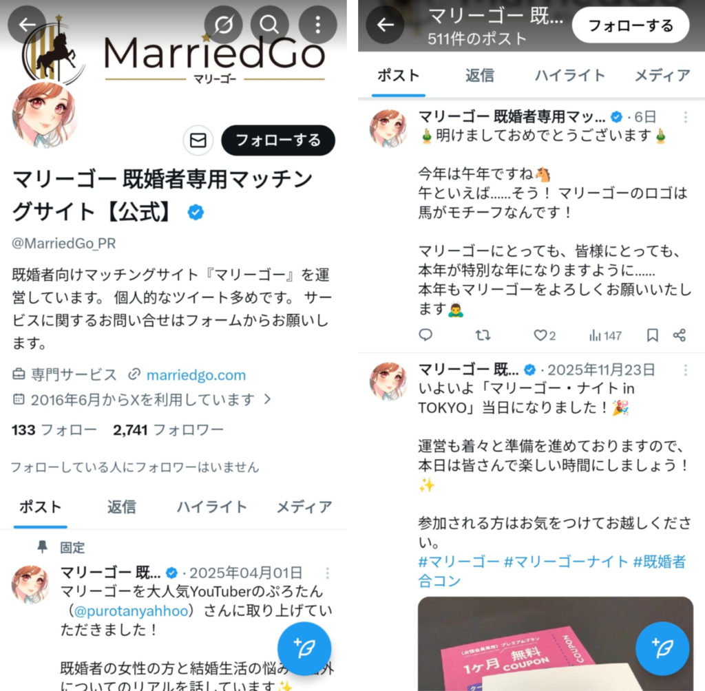 マリーゴーの公式X